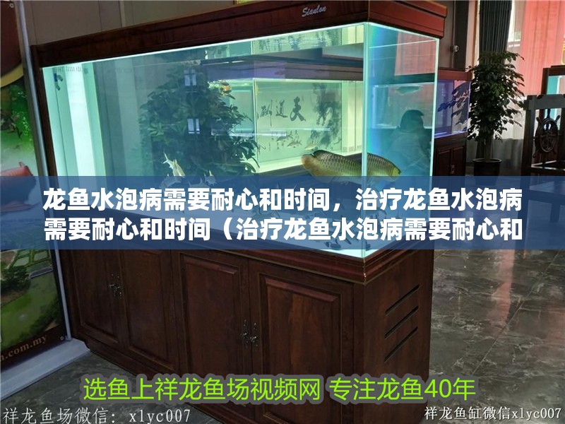 龍魚水泡病需要耐心和時間，治療龍魚水泡病需要耐心和時間（治療龍魚水泡病需要耐心和時間）