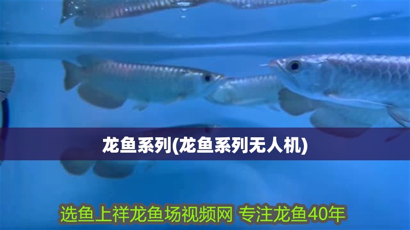 龍魚系列(龍魚系列無(wú)人機(jī))