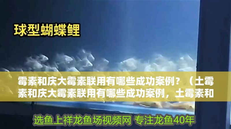 霉素和慶大霉素聯用有哪些成功案例？（土霉素和慶大霉素聯用有哪些成功案例，土霉素和慶大霉素聯合使用）