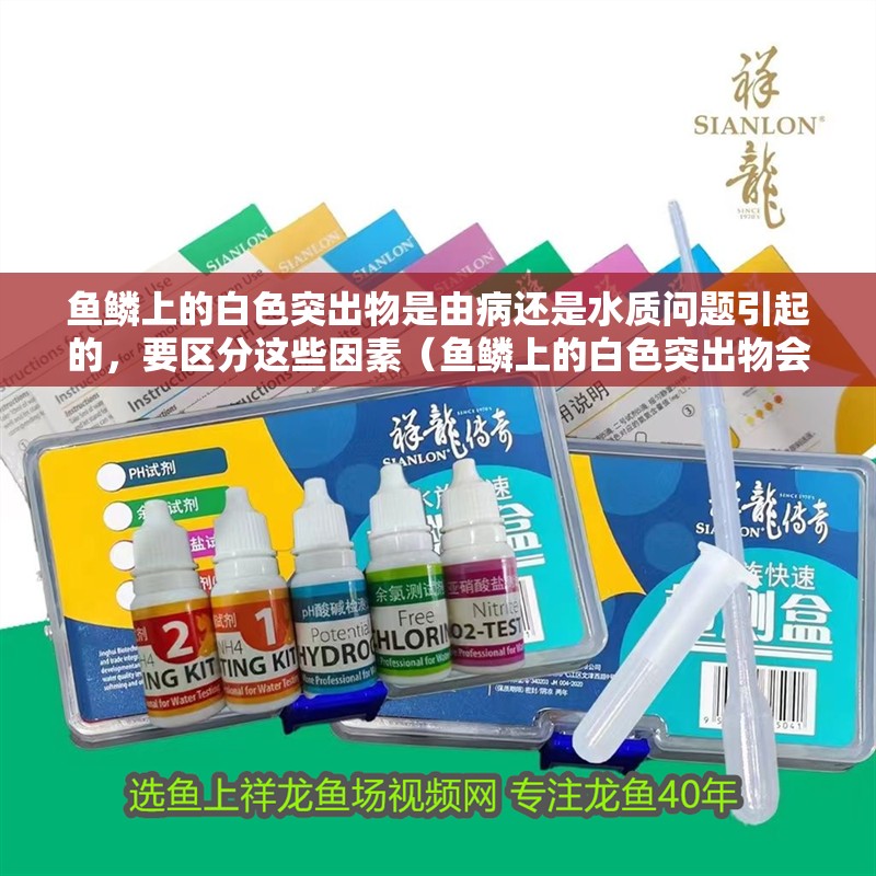 魚鱗上的白色突出物是由病還是水質(zhì)問題引起的，要區(qū)分這些因素（魚鱗上的白色突出物會自行消失嗎？）