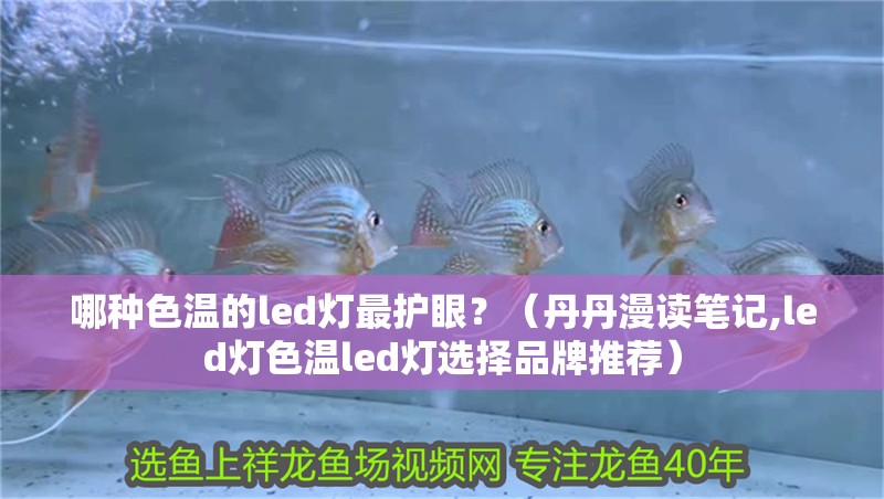 哪種色溫的led燈最護眼？（丹丹漫讀筆記,led燈色溫led燈選擇品牌推薦）