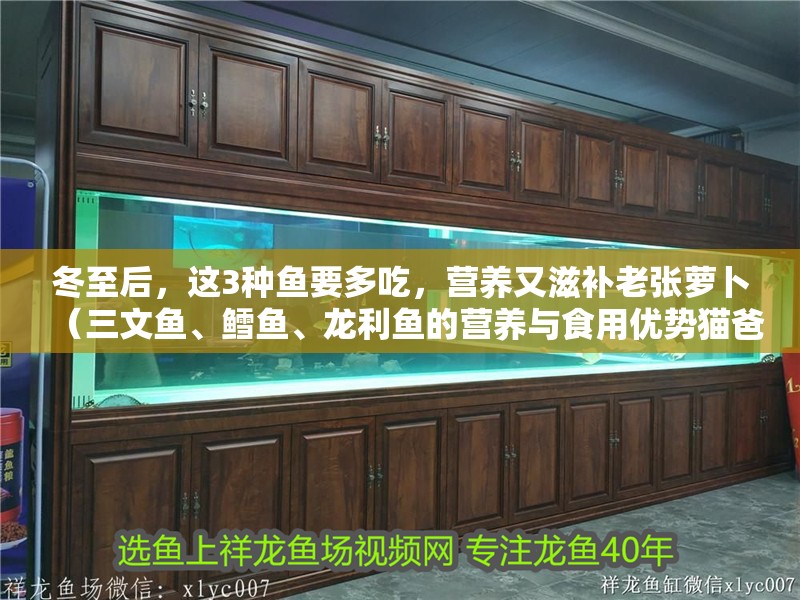 冬至后，這3種魚要多吃，營(yíng)養(yǎng)又滋補(bǔ)老張?zhí)}卜（三文魚、鱈魚、龍利魚的營(yíng)養(yǎng)與食用優(yōu)勢(shì)貓爸咕嚕屋）