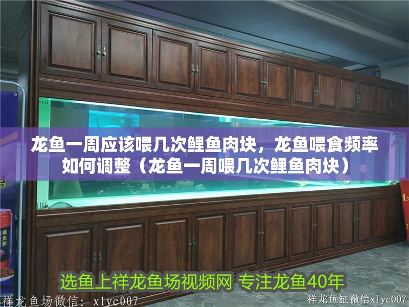 龍魚一周應該喂幾次鯉魚肉塊，龍魚喂食頻率如何調整（龍魚一周喂幾次鯉魚肉塊）