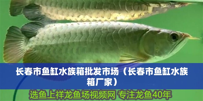 長(zhǎng)春市魚(yú)缸水族箱批發(fā)市場(chǎng)（長(zhǎng)春市魚(yú)缸水族箱廠(chǎng)家）