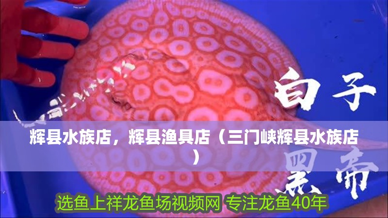 輝縣水族店，輝縣漁具店（三門峽輝縣水族店）