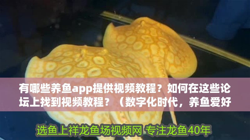 有哪些養魚app提供視頻教程？如何在這些論壇上找到視頻教程？（數字化時代，養魚愛好者可以通過多種途徑學習提供視頻教程）
