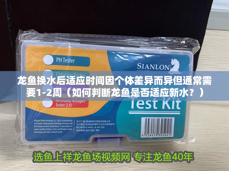 龍魚換水后適應時間因個體差異而異但通常需要1-2周（如何判斷龍魚是否適應新水？）