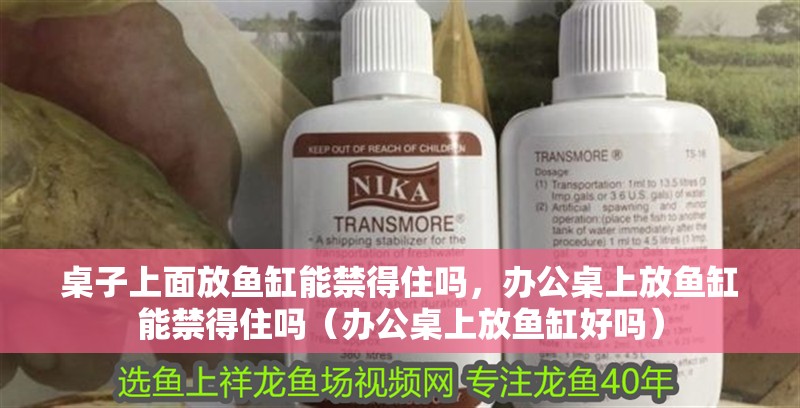 桌子上面放魚缸能禁得住嗎，辦公桌上放魚缸能禁得住嗎（辦公桌上放魚缸好嗎）