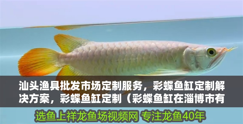 汕頭漁具批發(fā)市場定制服務，彩蝶魚缸定制解決方案，彩蝶魚缸定制（彩蝶魚缸在淄博市有哪些定制店？）