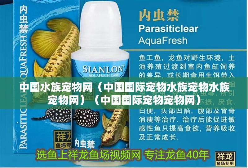 中國水族寵物網（中國國際寵物水族寵物水族寵物網）（中國國際寵物寵物網） 中國水族寵物網（中國國際寵物水族寵物水族寵物網）（中國國際寵物寵物網） 觀賞魚百科