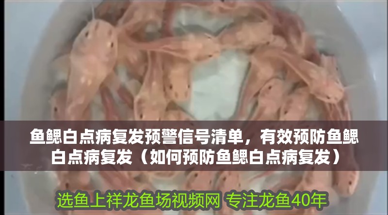 魚鰓白點病復發預警信號清單，有效預防魚鰓白點病復發（如何預防魚鰓白點病復發）