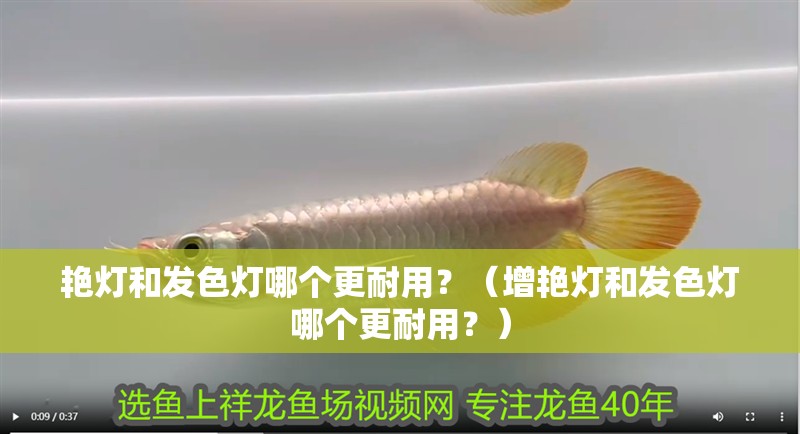 艷燈和發(fā)色燈哪個(gè)更耐用？（增艷燈和發(fā)色燈哪個(gè)更耐用？）
