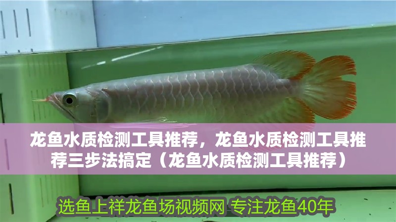 龍魚水質檢測工具推薦，龍魚水質檢測工具推薦三步法搞定（龍魚水質檢測工具推薦）