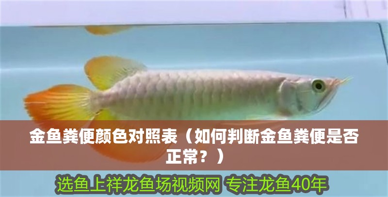 金魚糞便顏色對照表（如何判斷金魚糞便是否正常？）