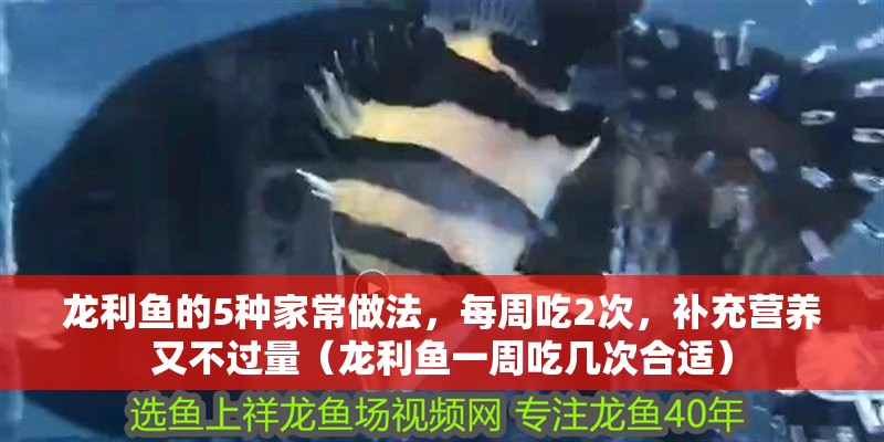龍利魚的5種家常做法，每周吃2次，補充營養又不過量（龍利魚一周吃幾次合適）