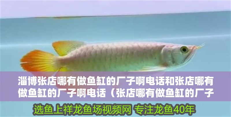 魚缸過濾器選購指南:自制魚缸過濾器魚缸上置過濾器對于養魚愛好者的必備知識 淄博張店哪有做魚缸的廠子啊電話和張店哪有做魚缸的廠子啊電話(張店哪有做魚缸的廠子啊電話) 觀賞魚百科 淄博張店哪有做魚缸的廠子啊電話和張店哪有做魚缸的廠子啊電話(張店哪有做魚缸的廠子啊電話) 淄博張店哪有做魚缸的廠子啊電話和張店哪有做魚缸的廠子啊電話(張店哪有做魚缸的廠子啊電話) 觀賞魚百科