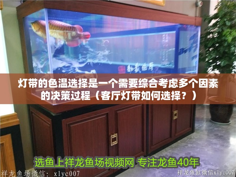 燈帶的色溫選擇是一個需要綜合考慮多個因素的決策過程（客廳燈帶如何選擇？）