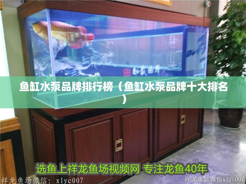 魚缸水泵品牌排行榜（魚缸水泵品牌十大排名）