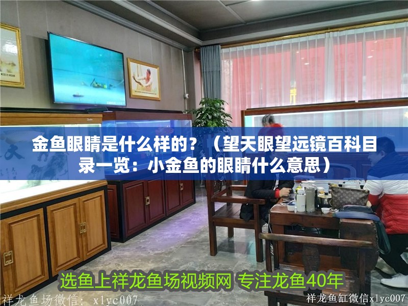 金魚眼睛是什么樣的？（望天眼望遠鏡百科目錄一覽：小金魚的眼睛什么意思）