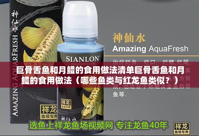 巨骨舌魚和月鱧的食用做法清單巨骨舌魚和月鱧的食用做法（哪些魚類與紅龍魚類似？）