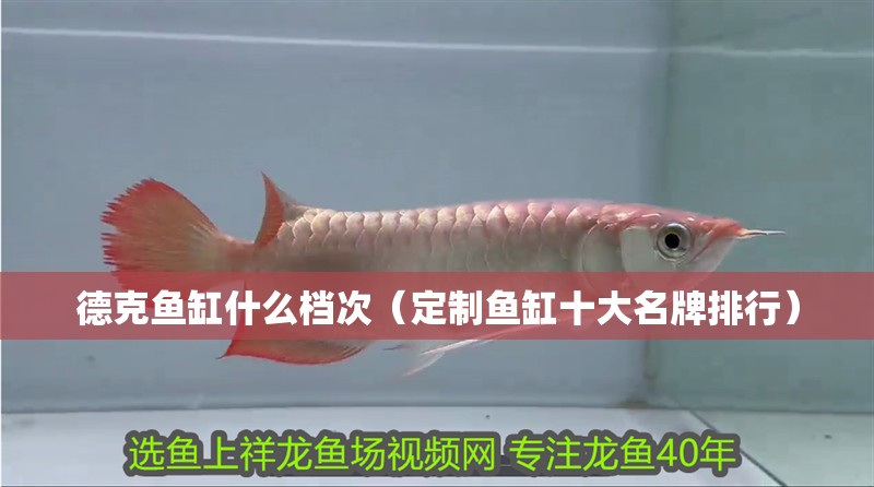 德克魚缸什么檔次（定制魚缸十大名牌排行）