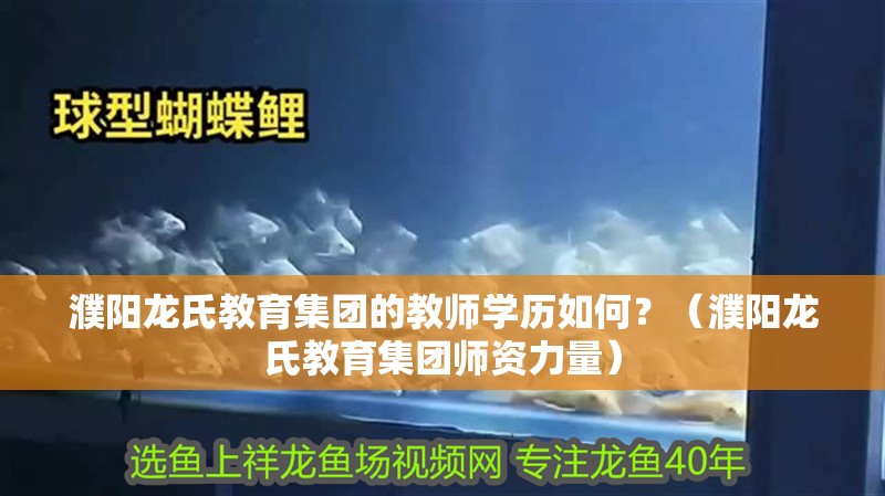 濮陽龍氏教育集團的教師學歷如何？（濮陽龍氏教育集團師資力量）