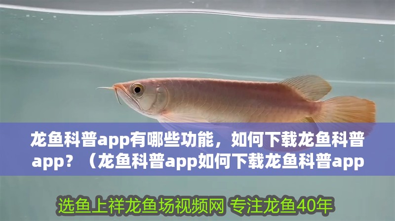 龍魚科普app有哪些功能，如何下載龍魚科普app？（龍魚科普app如何下載龍魚科普app有哪些優(yōu)缺點(diǎn)）
