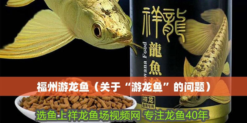 福州游龍魚（關(guān)于“游龍魚”的問題）