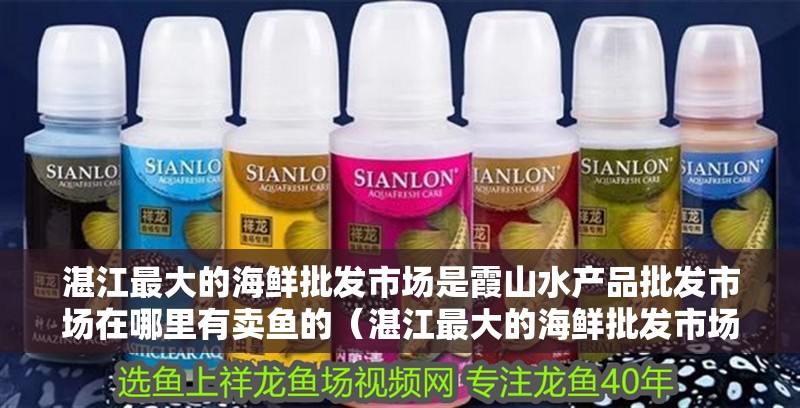 湛江最大的海鮮批發(fā)市場(chǎng)是霞山水產(chǎn)品批發(fā)市場(chǎng)在哪里有賣魚的（湛江最大的海鮮批發(fā)市場(chǎng)）