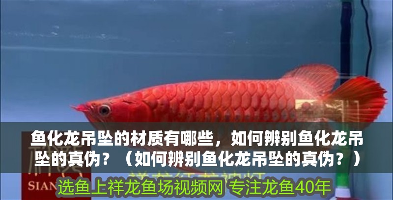 魚化龍吊墜的材質有哪些，如何辨別魚化龍吊墜的真偽？（如何辨別魚化龍吊墜的真偽？）