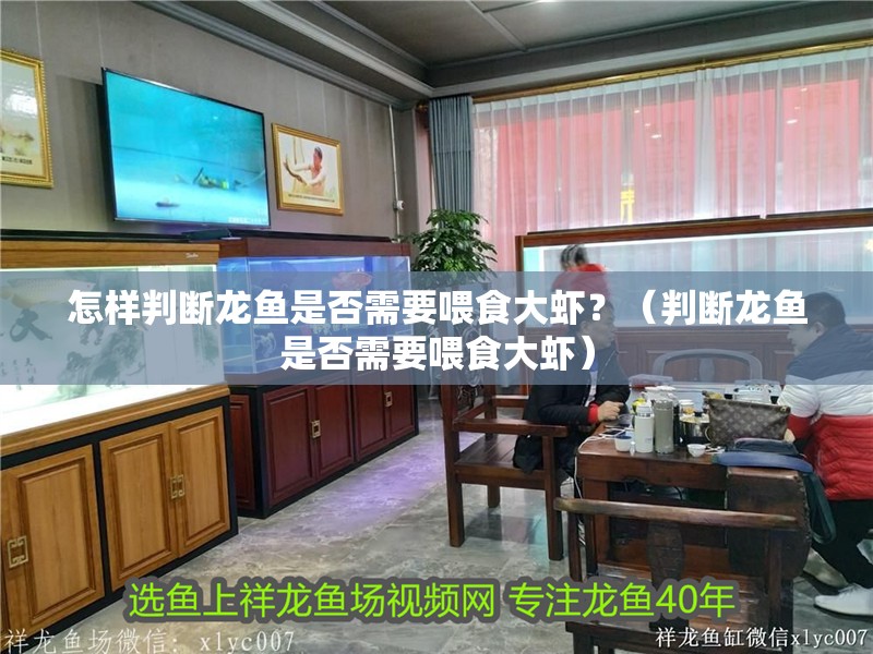 怎樣判斷龍魚是否需要喂食大蝦？（判斷龍魚是否需要喂食大蝦） 怎樣判斷龍魚是否需要喂食大蝦？（判斷龍魚是否需要喂食大蝦） 龍魚百科