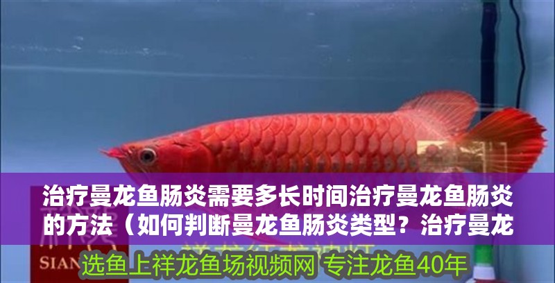 治療曼龍魚腸炎需要多長時間治療曼龍魚腸炎的方法（如何判斷曼龍魚腸炎類型？治療曼龍魚腸炎需要多長時間？）