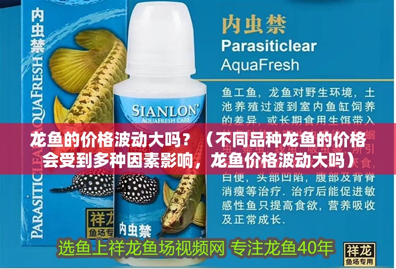 龍魚(yú)的價(jià)格波動(dòng)大嗎？（不同品種龍魚(yú)的價(jià)格會(huì)受到多種因素影響，龍魚(yú)價(jià)格波動(dòng)大嗎）