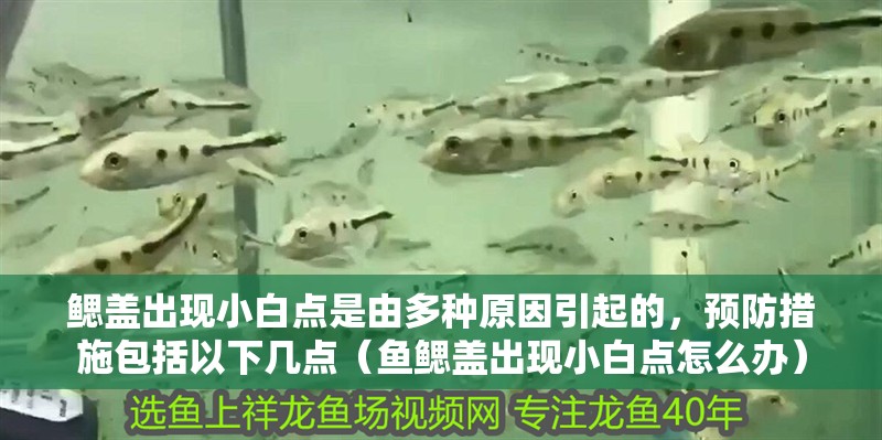 鰓蓋出現小白點是由多種原因引起的，預防措施包括以下幾點（魚鰓蓋出現小白點怎么辦）