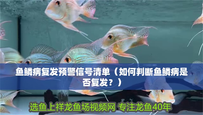 魚鱗病復發(fā)預警信號清單（如何判斷魚鱗病是否復發(fā)？） 魚鱗病復發(fā)預警信號清單（如何判斷魚鱗病是否復發(fā)？） 龍魚百科