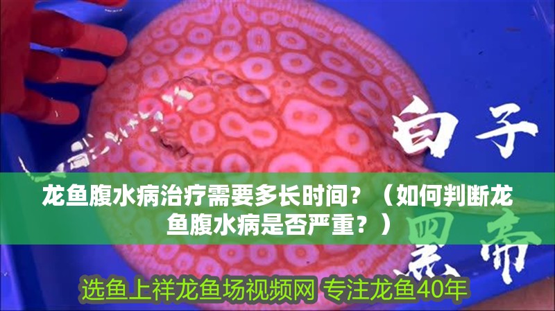 龍魚腹水病治療需要多長時間？（如何判斷龍魚腹水病是否嚴重？）