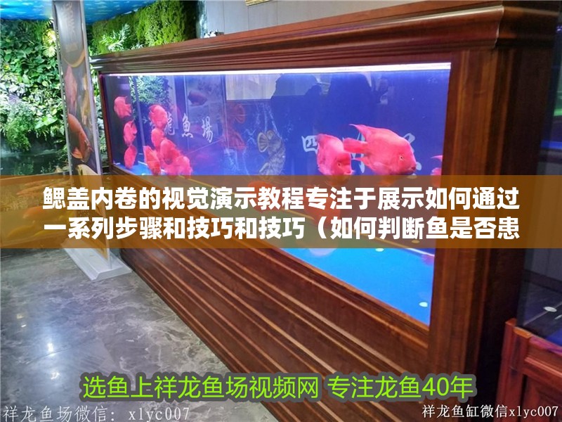 鰓蓋內卷的視覺演示教程專注于展示如何通過一系列步驟和技巧和技巧（如何判斷魚是否患有鰓蓋內卷）