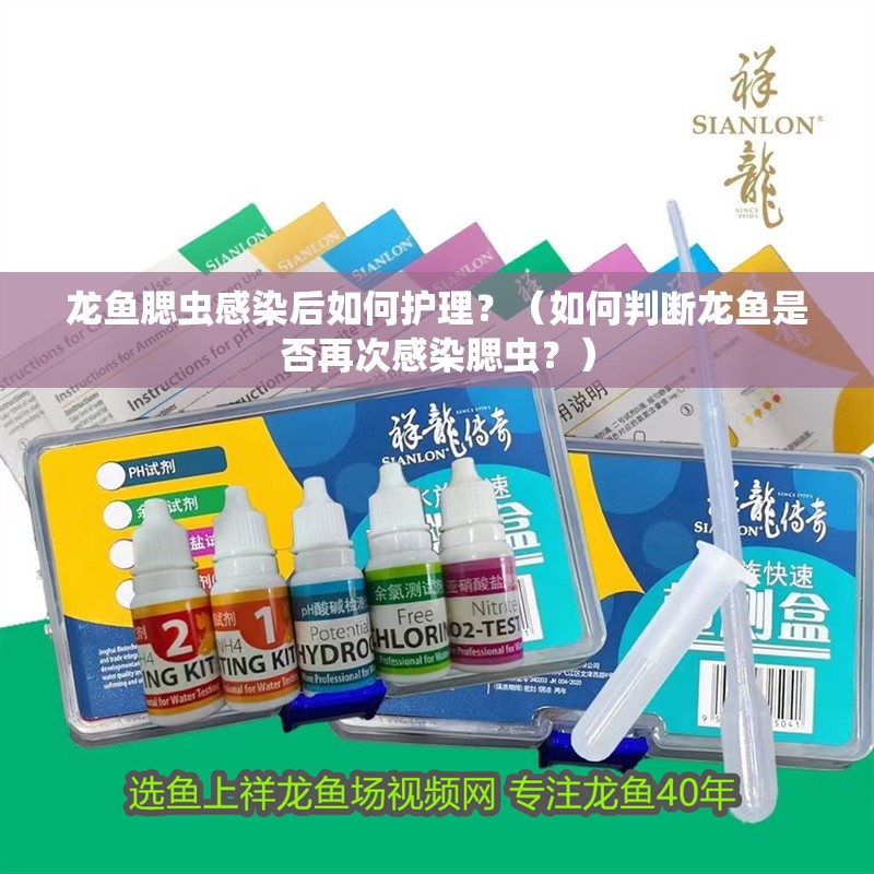 龍魚腮蟲感染后如何護理？（如何判斷龍魚是否再次感染腮蟲？）