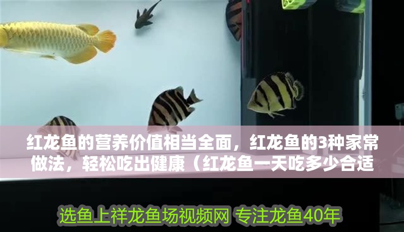 紅龍魚(yú)的營(yíng)養(yǎng)價(jià)值相當(dāng)全面，紅龍魚(yú)的3種家常做法，輕松吃出健康（紅龍魚(yú)一天吃多少合適？）