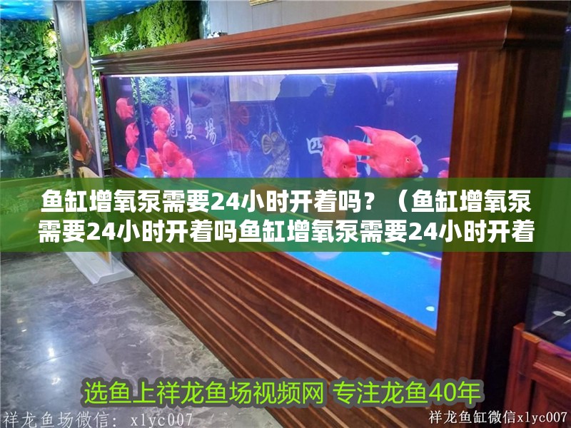 魚(yú)缸增氧泵需要24小時(shí)開(kāi)著嗎？（魚(yú)缸增氧泵需要24小時(shí)開(kāi)著嗎魚(yú)缸增氧泵需要24小時(shí)開(kāi)著嗎）