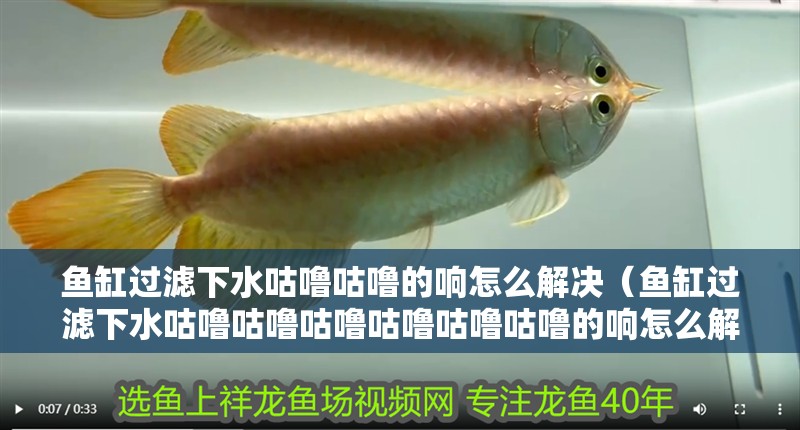 魚缸過濾下水咕嚕咕嚕的響怎么解決（魚缸過濾下水咕嚕咕嚕咕嚕咕嚕咕嚕咕嚕的響怎么解決）