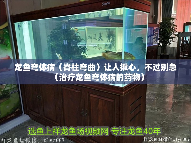 龍魚彎體病（脊柱彎曲）讓人揪心，不過別急（治療龍魚彎體病的藥物）