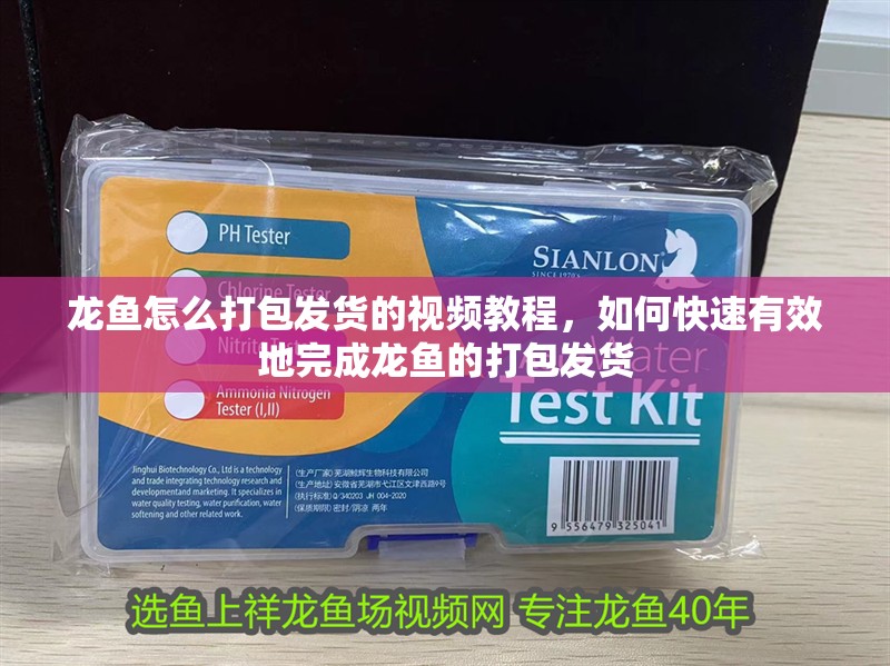 龍魚怎么打包發(fā)貨的視頻教程，如何快速有效地完成龍魚的打包發(fā)貨