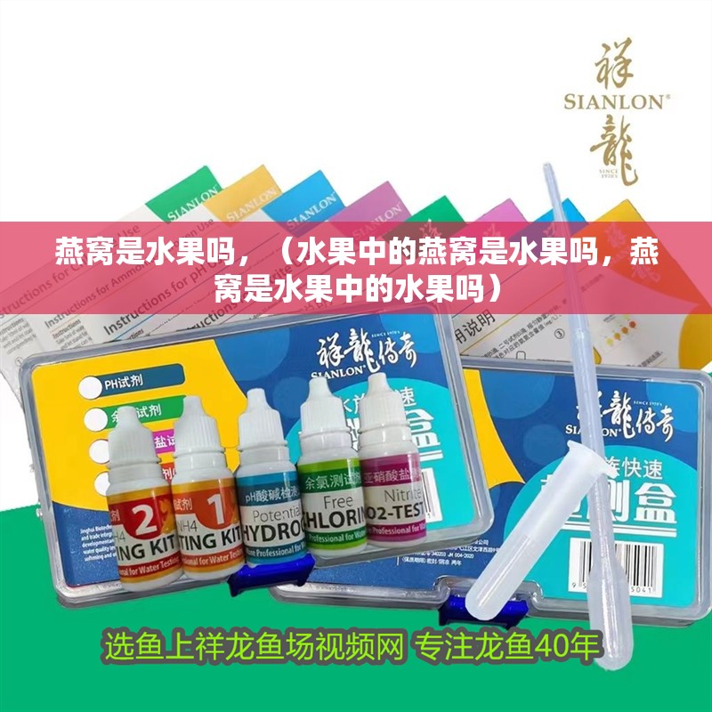 燕窩是水果嗎，（水果中的燕窩是水果嗎，燕窩是水果中的水果嗎）