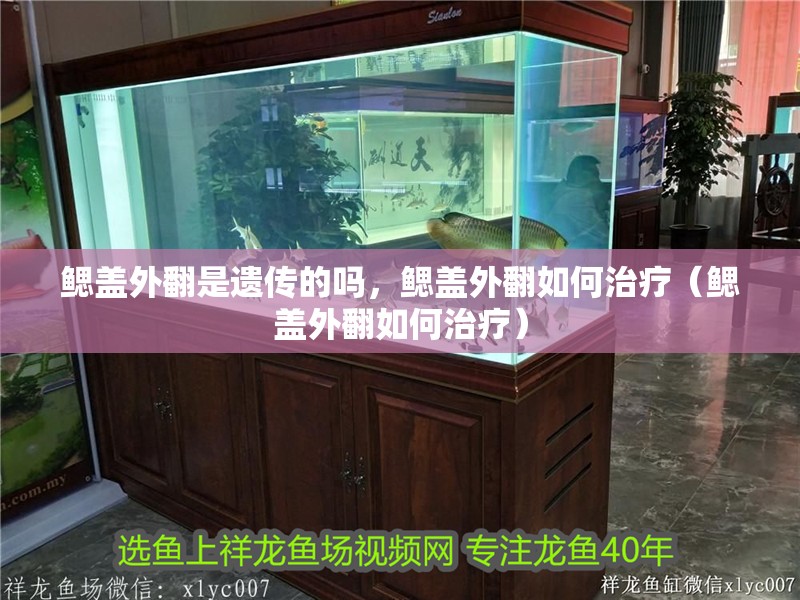 鰓蓋外翻是遺傳的嗎，鰓蓋外翻如何治療（鰓蓋外翻如何治療）