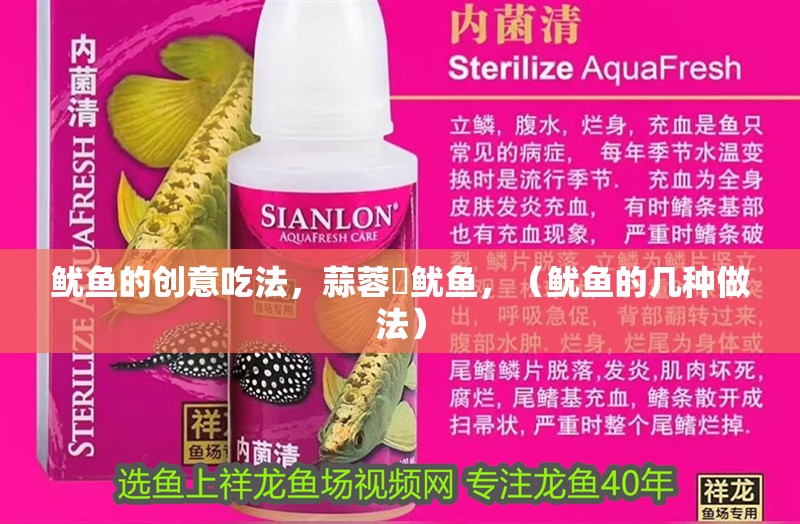 魷魚的創意吃法，蒜蓉焗魷魚，（魷魚的幾種做法）