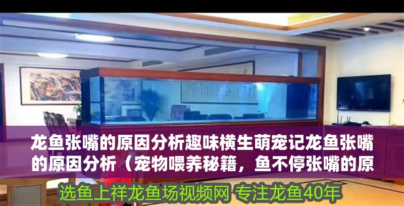 龍魚張嘴的原因分析趣味橫生萌寵記龍魚張嘴的原因分析（寵物喂養(yǎng)秘籍，魚不停張嘴的原因分析）