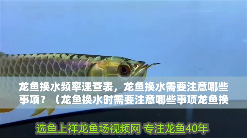 龍魚換水頻率速查表，龍魚換水需要注意哪些事項？（龍魚換水時需要注意哪些事項龍魚換水頻率速查表）