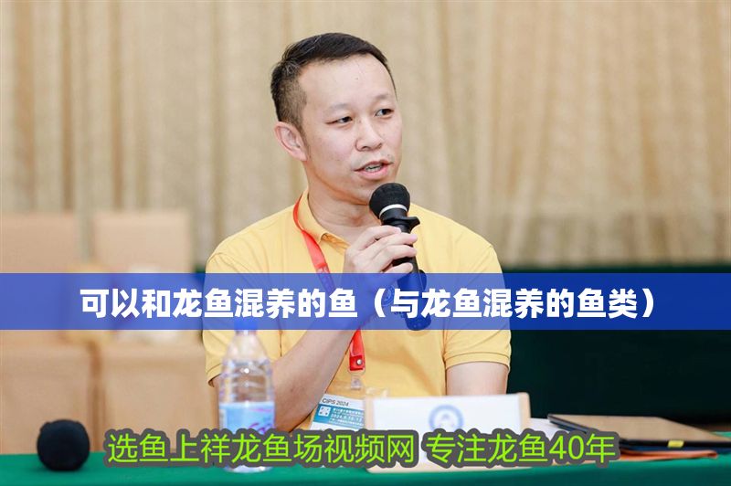 可以和龍魚混養的魚（與龍魚混養的魚類）