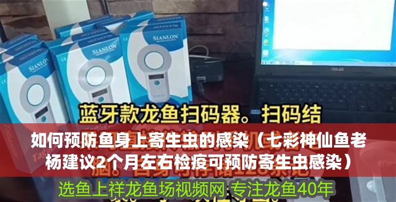 紅龍魚用黃燈烤有用嗎 如何預防魚身上寄生蟲的感染(七彩神仙魚老楊建議2個月左右檢疫可預防寄生蟲感染) 龍魚百科 如何預防魚身上寄生蟲的感染(七彩神仙魚老楊建議2個月左右檢疫可預防寄生蟲感染) 如何預防魚身上寄生蟲的感染(七彩神仙魚老楊建議2個月左右檢疫可預防寄生蟲感染) 龍魚百科
